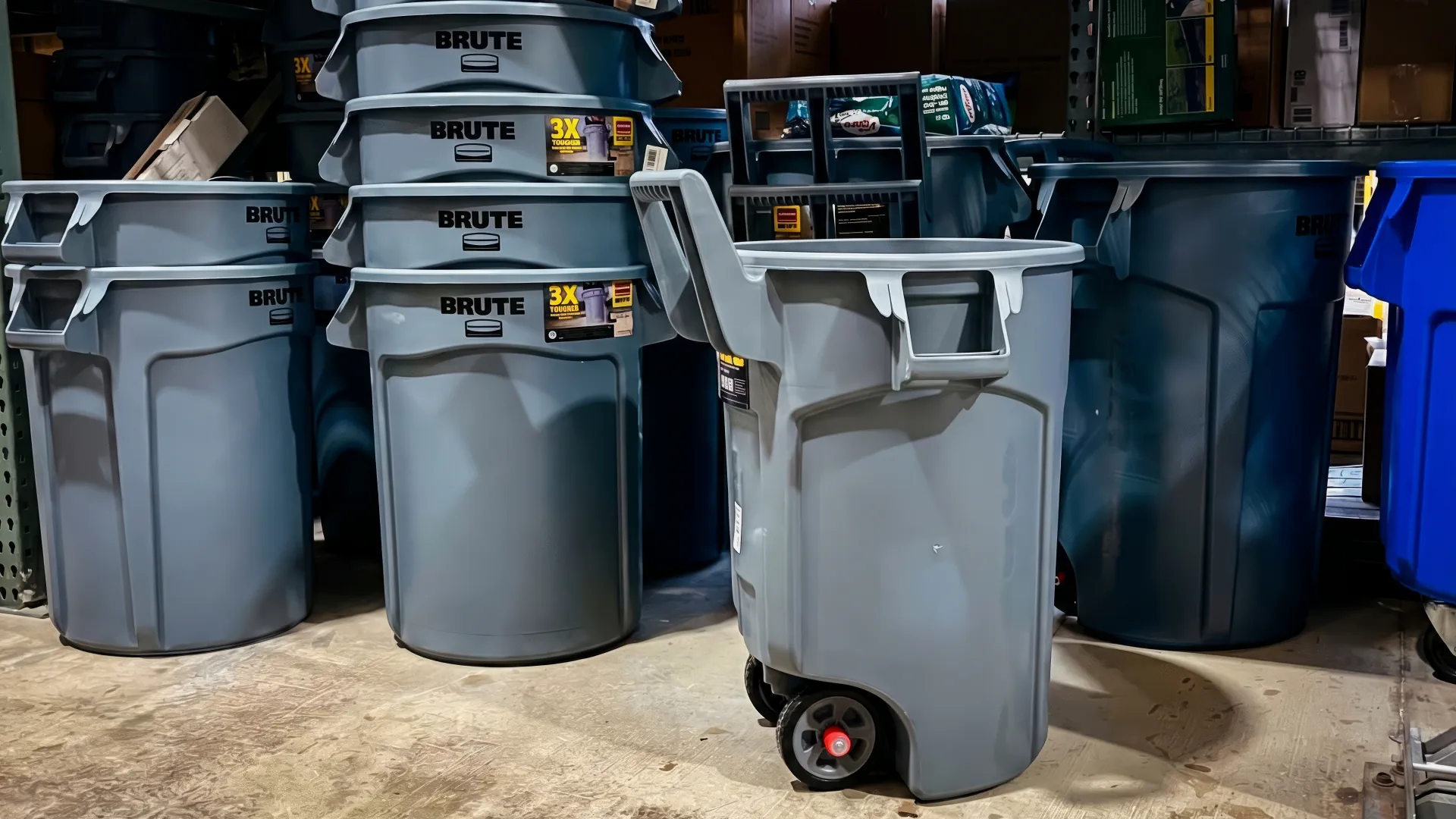 Expert Waste Management Advice and Efficiency