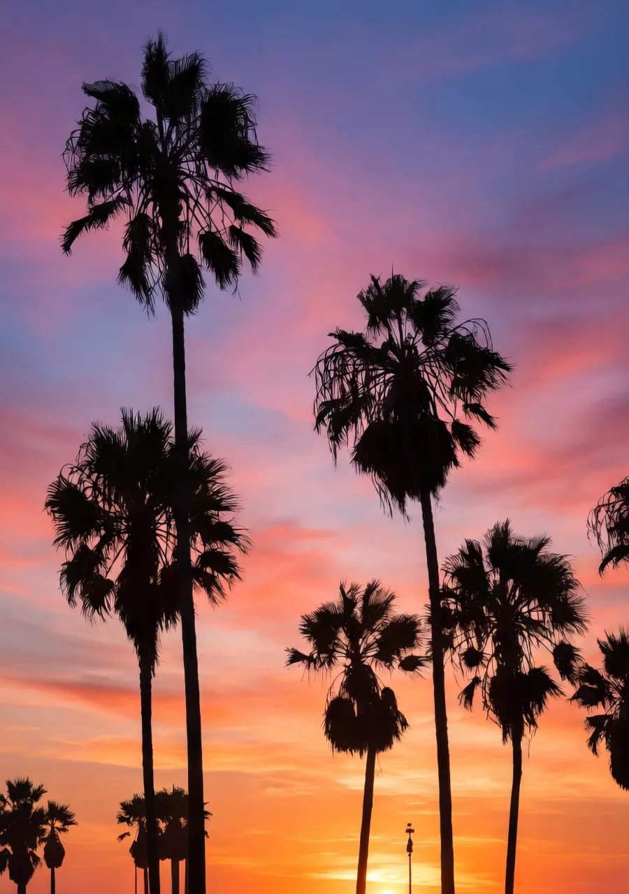 Lifestyle Photo 7
